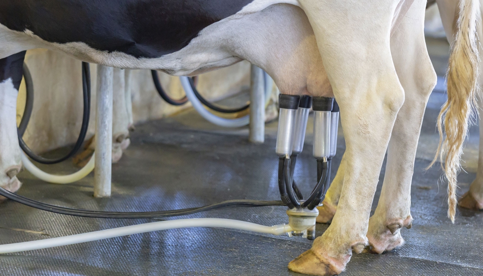 Foto de La asociacin Agromuralla alerta de una nueva bajada del precio de la leche