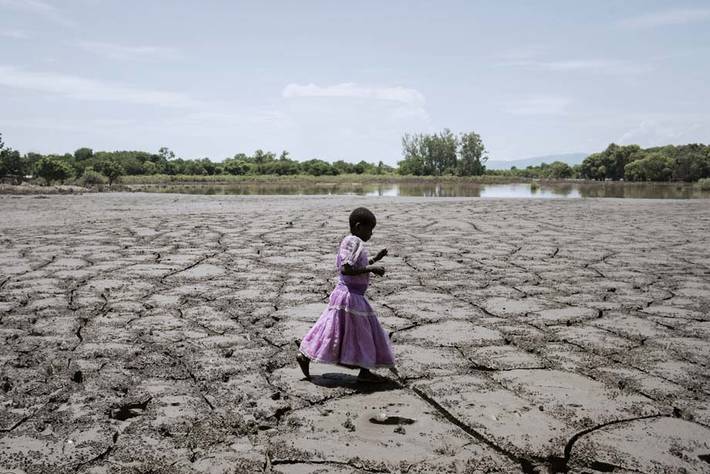 Photo: FAO/Luca Sola