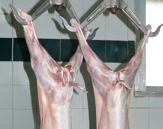 La produccin de carne de caprino se dispara en el inicio del ao con un aumento del 10,4%