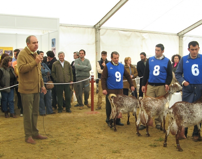 Anlisis de los aspectos claves de la produccin de leche de cabra en Espaa