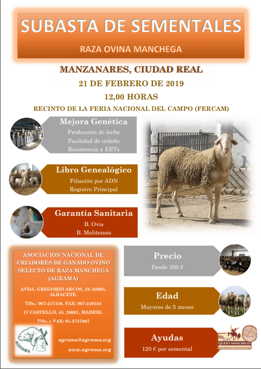 agrama-manzanares-subasta