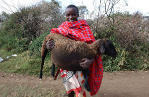 Photo: ©FAO/Ami Vitale Photo: ©FAO/Ami Vitale