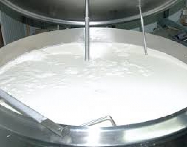 Avance significativo para la obtencin de leches y derivados lcteos sin lactosa