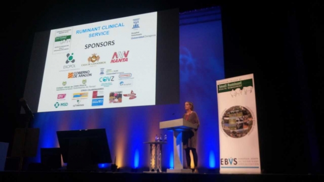 EL SCRUM EN EL 9º CONGRESO MUNDIAL DE OVINO DE HARROGATE (UK).