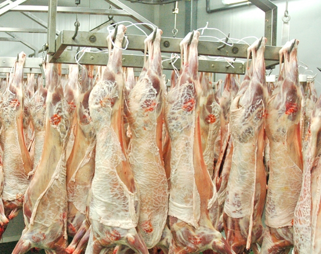 La produccin carne de ovino en Espaa baja un 1,95 % en 2017