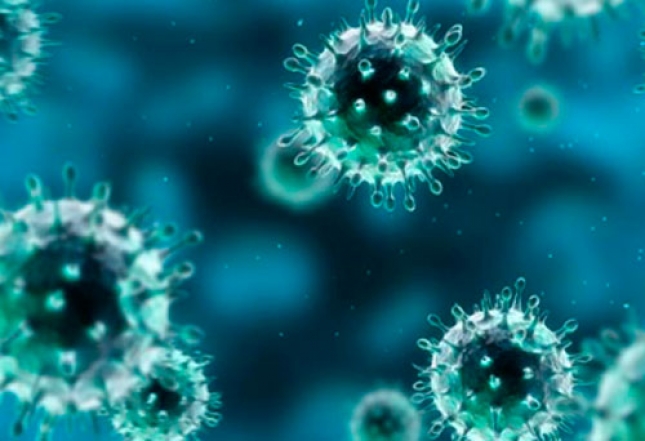 Webseminar del Colegio de Veterinarios de Madrid para hablar sobre virus zoonticos emergentes