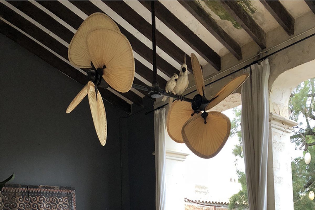 Casos Prcticos: Aires tropicales con los ventiladores de Casa Bruno en un palacio urbano de Mallorca