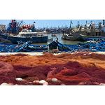 Prorrogado el acuerdo de pesca entre la Unión Europea y Mauritania - Interempresas