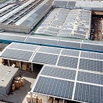 Foto de IBC Solar AG: 40 aos en el sector de las renovables y 15 con presencia en Espaa