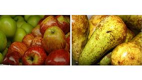 Foto de Afrucat pide a la Comisin ms cupo para poder retirar manzanas y peras