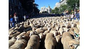 Foto de Ms de 2.000 cabezas de ganado participan en la Fiesta de la Trashumancia que reivindica la actividad pastoril y ganadera