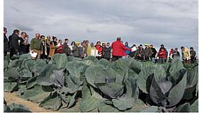 Foto de Intia y Cajamar organizan una nueva Jornada de Cultivos hortcolas de invierno