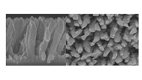 Foto de Cientficos del CSIC desarrollan nanoestructuras de titanio antibacterianas para implantes seos