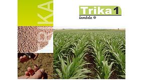 Foto de Trika lambda 1, el nuevo insecticida de suelo con efecto enraizante de Sipcam Iberia
