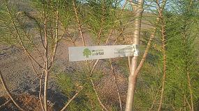 Foto de El Bosque Scania sigue creciendo