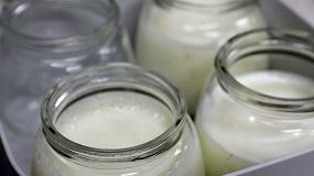 Picture of [es] Formulan yogures ricos en protenas que sacian ms