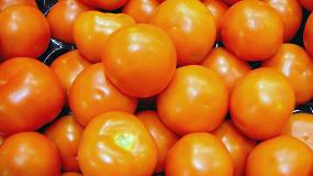 Foto de Fepex plantea en el Comit Mixto Franco-Hispano-Italiano medidas urgentes en el sector de tomate y de fruta