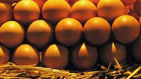 Picture of [es] El CSIC desarrolla snacks saludables a partir de las protenas del huevo