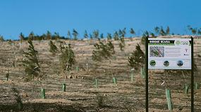 Foto de Un Scania, Un rbol, reconocido como buena prctica empresarial