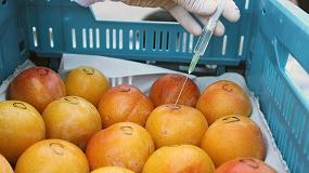 Fotografia de [es] Innovacin tecnolgica para la higienizacin de frutas y hortalizas