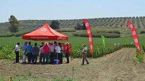 Picture of [es] Ms de 400 agricultores, convocados por Semillas LG y BASF, visitan la plataforma tecnolgica de Limagrain en Crdoba