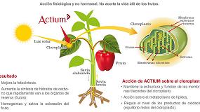 Foto de Actium consigue un potente efecto activador del color de los frutos, tanto en frutales como en hortcolas