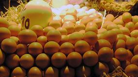Foto de EE UU demanda 41 millones de docenas de huevos