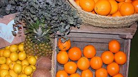 Foto de La importacin espaola de frutas y hortalizas en mayo creci un 20% en volumen