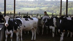 Foto de La mortalidad registrada en granjas de bovino como potencial herramienta de vigilancia