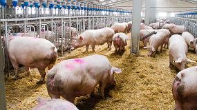 Picture of [es] La industria del porcino espaol, un sector en constante evolucin