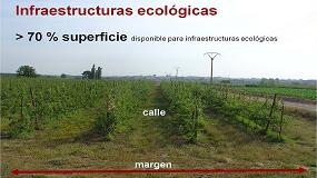Picture of [es] Infraestructuras ecolgicas en frutales: un cambio de paradigma