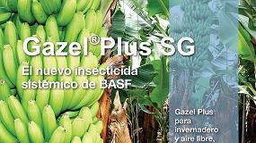 Picture of [es] BASF lanza al mercado una solucin eficaz contra la cochinilla y mosca blanca en platanera