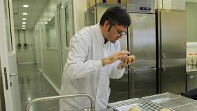 Foto de Nuevos prototipos de pan enriquecido con hierro microencapsulado para mantener sus cualidades sensoriales