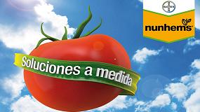 Foto de La marca Nunhems aumenta la produccin en ciclo corto para tomate suelto, ramo y cherry para la zona de Njar