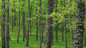 Foto de Parques Nacionales (OAPN) adjudica a Grupo Soil los trabajos forestales en Valsan durante los prximos 3 aos