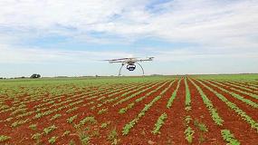 Foto de El CSIC innova en la deteccin temprana de malas hierbas mediante drones