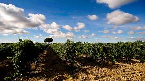 Foto de Dcimo aniversario de la Ruta del Vino Ribera del Duero