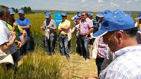 Foto de El uso preventivo y racional de fungicidas y herbicidas, claves de la eficiencia en el cultivo de cereales
