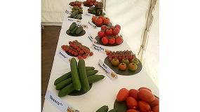 Foto de Nuevas alternativas de tomate y pepino, objetivos de Bayer en la costa de Granada