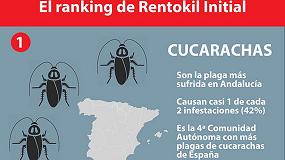 Foto de Las cucarachas suponen ms del 40% de las plagas en Andaluca