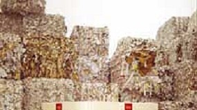 Picture of [es] La produccin y el consumo de papel y su recogida para el reciclaje se incrementan en 2006