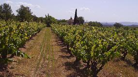 Foto de Los vinos DO Bierzo incrementan su comercializacin un 25% en la campaa 2014/15