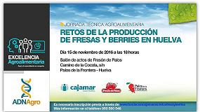 Foto de Cajamar analiza los retos de la produccin de fresas y berries en Huelva