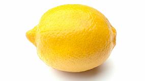 Foto de La UE incrementa los controles oficiales a los limones turcos a partir del 1 de enero