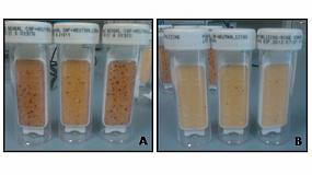 Foto de Nuevas soluciones para evitar el crecimiento bacteriano en gasleos