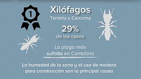 Foto de Cantabria, entre las Comunidades con ms plagas de termitas y carcomas