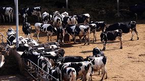 Fotografia de [es] UPA muestra su oposicin a la macrogranja con 20.000 vacas que pretenden construir en Soria