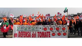 Foto de Los productores de tomate extremeo se movilizan debido a los precios que impone la industria
