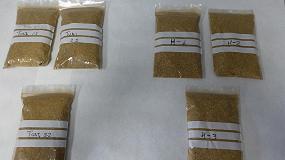 Foto de Transformar paja de arroz en un producto qumico de alta demanda industrial