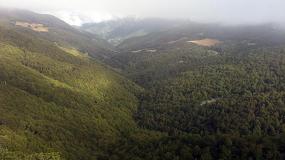 Foto de Asforcan y Cose explican en un vdeo los beneficios de la gestin forestal sostenible